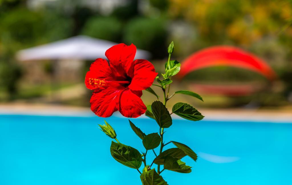 Marmaris Holiday Villas Exteriör bild